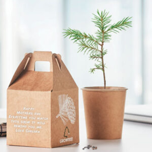 Personalised Pine Tree Growing Kit